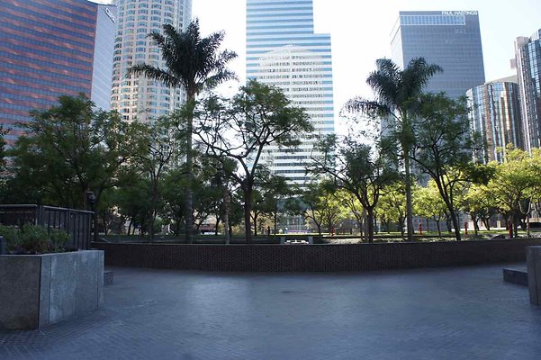 Bank of America Plaza - 43