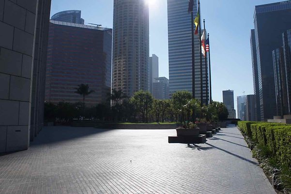 Bank of America Plaza - 37