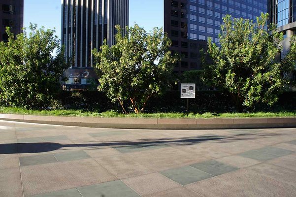 Cal Plaza - 73
