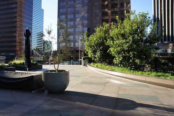 Cal Plaza - 11