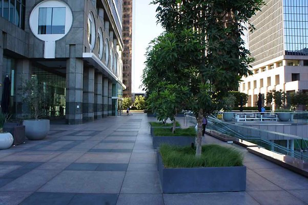 Cal Plaza - 39