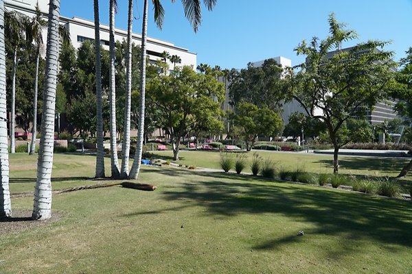 DSC01606