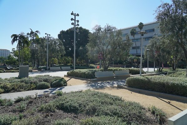 DSC01605