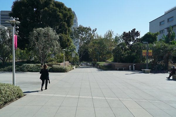 DSC01617