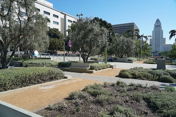 DSC01603