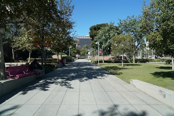 DSC01613