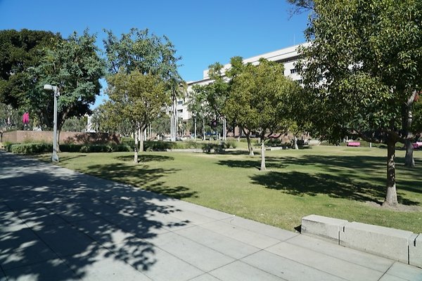 DSC01614