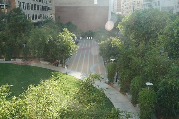 DSC01770
