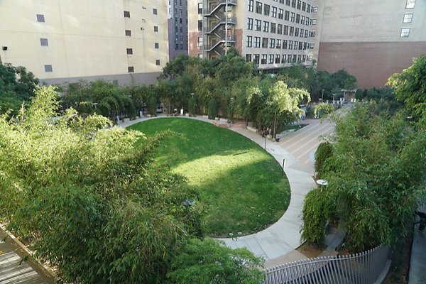 DSC01779