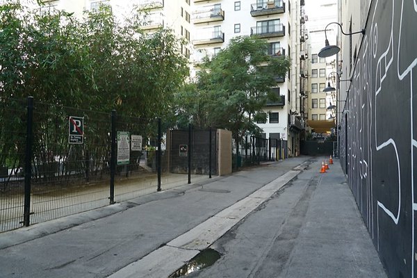 DSC02008