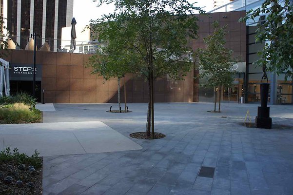 Wells Fargo Plaza - 12