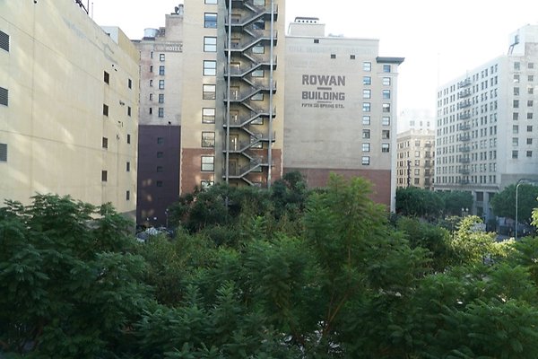 DSC01756