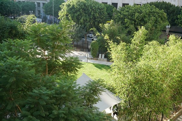 DSC01753