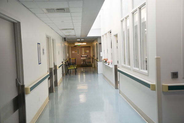ALLIED HOSPITAL DIRECTOR SCOUT