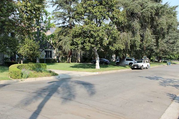 IMG 2395-800