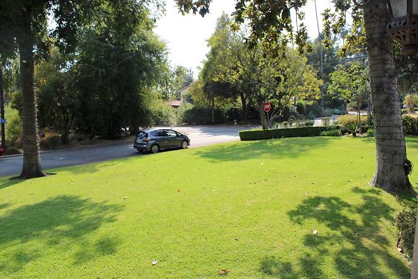 IMG 2400-800