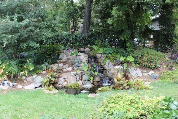 IMG 2597-800