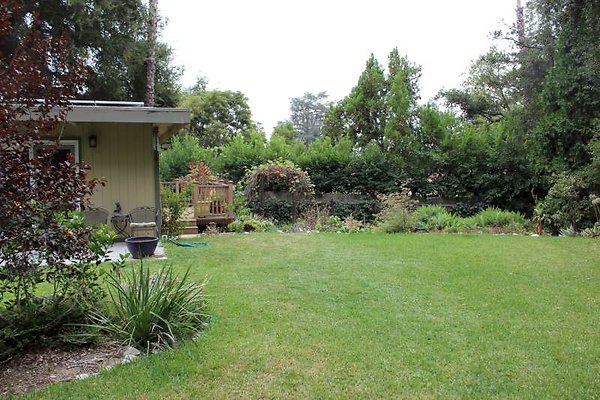 IMG 2599-800