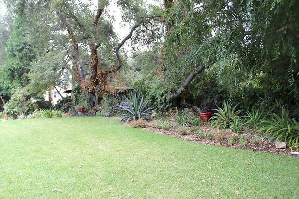 IMG 2600-800