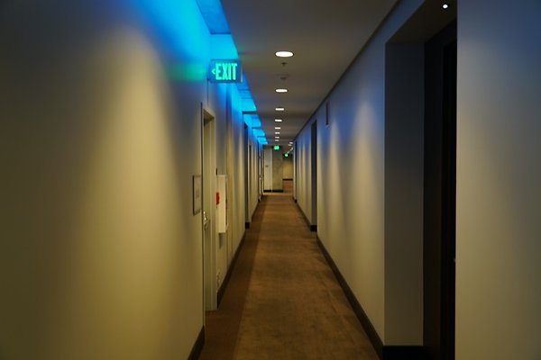 DSC01977