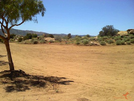 Landscapes 12-900