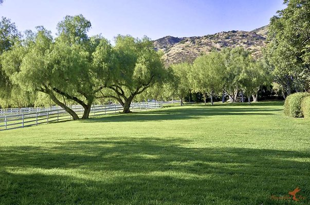 Landscapes 42 Sitting Bull Lawn 02-900