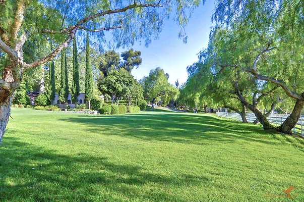 Landscapes 41 Sitting Bull Lawn 01-900