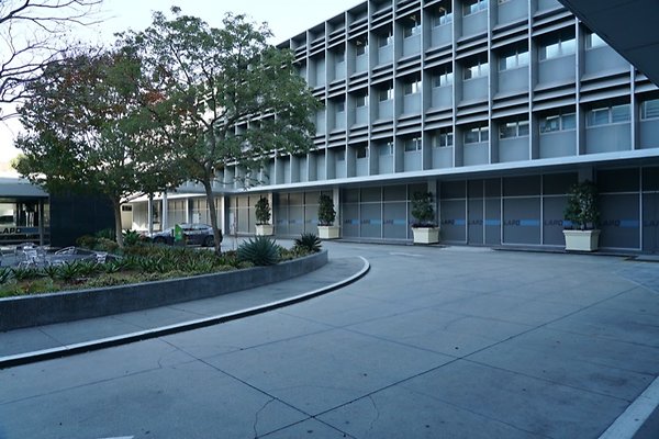 DSC02236