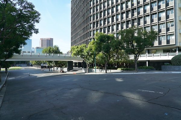 DSC02264