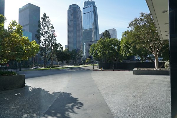 DSC02259