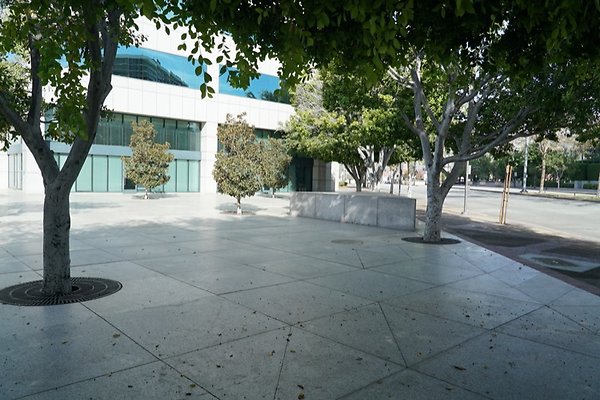 DSC02316