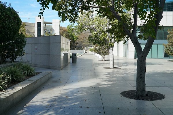 DSC02315