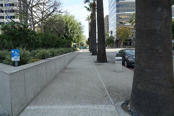 DSC02317