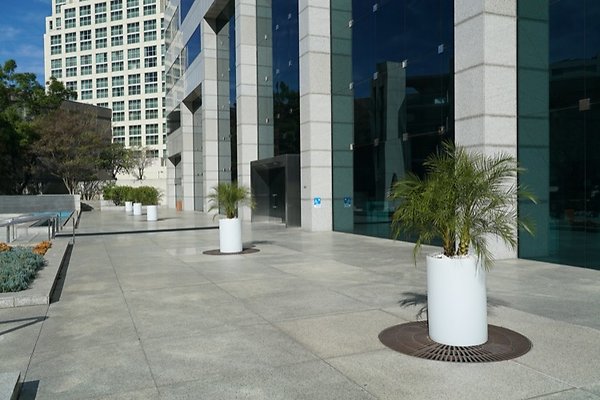 DSC02334