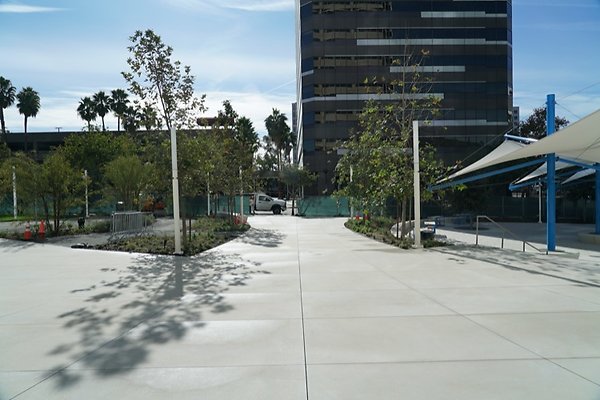 DSC02305